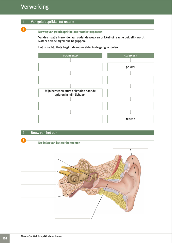 532376_184_memoria3_h... (copy)