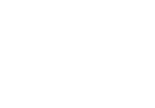 .png (copy)